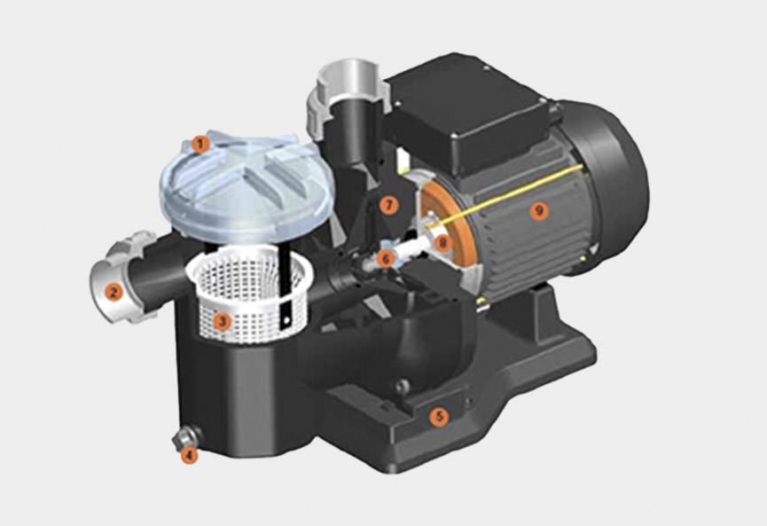 Sena Pumpe product photo