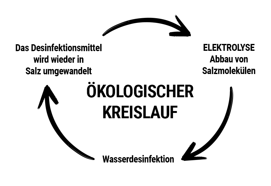 Ökologische Kreislauf